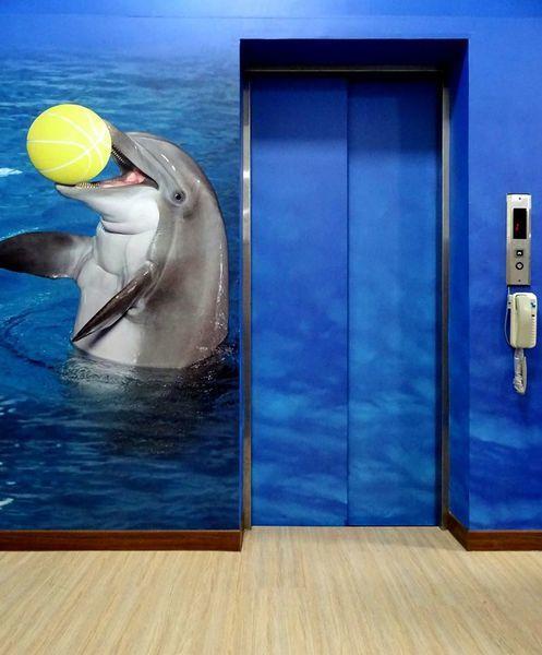 Bed and Breakfast Dolphin Castle Донґан Екстер'єр фото
